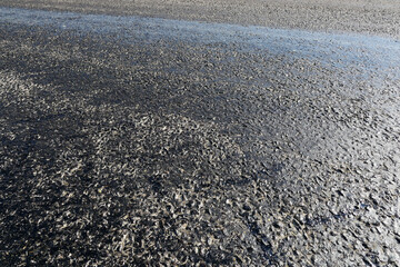 bitumen on the asphalt road, which melts due to the heat in the summer, melted pitch and asphalt road, hot and melted asphalt roads,