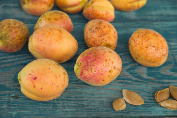 ripe juicy orange apricots and apricot pits lie on a green wooden table