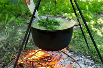 Man pours dill from the plate into the pot, which is heated on a fire.