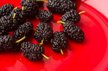 Ripe large black mulberries on a red plate, close-up.
