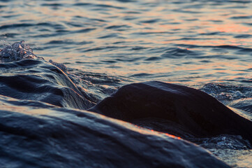 pebble stones on the sea beach, the rolling waves of the sea with foam