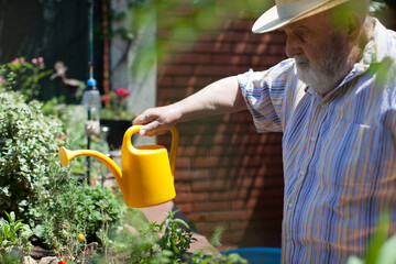 elderly man watering flowers on the terrace