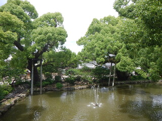 Japanischer Teich
