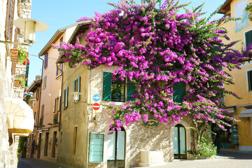 Fototapeta na wymiar SIRMIONE, ITALY - JUNE 19, 2020: house full of flowers