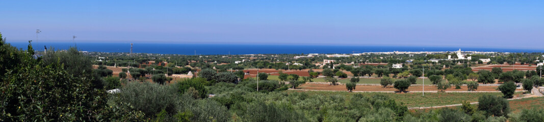Fototapeta na wymiar Panoramic view of Polignano a Mare