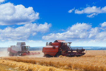 Fototapeta premium Two combine harvesters
