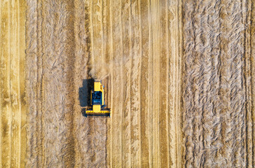Aerial view of combine harvester is harvesting wheat at sunset in summer. Agriculture. Landscape with harvester working on the yellow wheat field. Top view of agricultural machine and ripe wheat