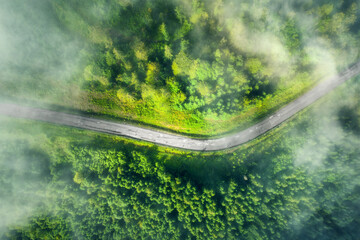 Aerial view of road in beautiful green forest in low clouds at sunset in summer. Colorful landscape with roadway in fog, pine trees in Carpatian mountains. Top view of highway. Travel in Ukraine
