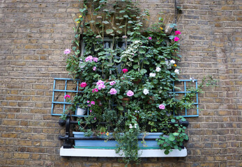 Naklejka premium green flower balcony on the background of a brick wall of the house