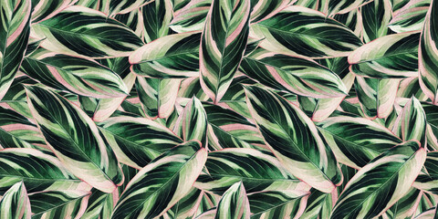 Watercolor painting colorful tropical green,pink leaves seamless pattern background.Watercolor hand drawn illustration tropical exotic leaf prints for wallpaper,textile Hawaii aloha summer style. - 367403448