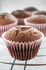 Home-baked chocolate muffins in muffin tray on cooling grid