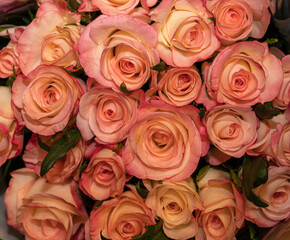 Closeup of a bouquet of pink roses