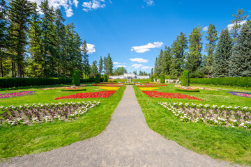 Fototapeta na wymiar A summer day among the flowers at Duncan Gardens in Manito Park, Spokane, Washington USA