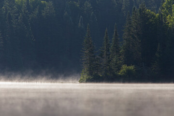 Misty Morning  in Mont Tremblant National Park-Canada