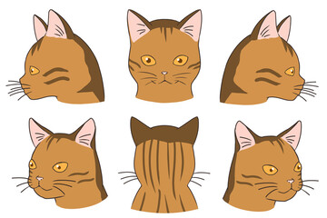 顔アップネコ　ベンガル