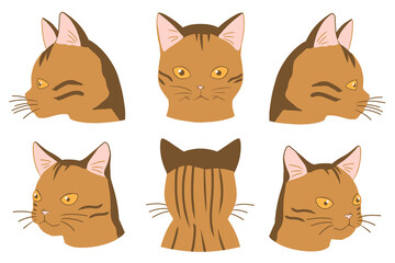 顔アップネコ　ベンガル(線無し)