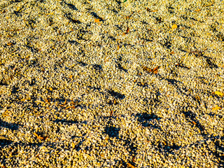 Abstract Sand Pebble Imprints