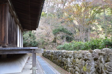 Fototapeta na wymiar 秋の神社