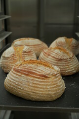Fresh baked sourdough just out of oven