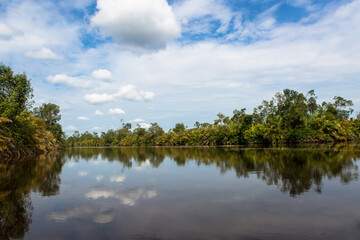 Fototapeta na wymiar Fleuve Congo, Parc des Mangroves, Moanda, DRCongo