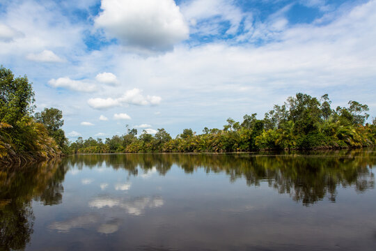Fleuve Congo, Parc des Mangroves, Moanda, DRCongo