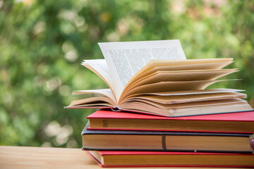 Libro abierto sobre otros libros