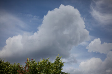 Fototapeta premium Clouds in the sky. Heavenly landscape. 