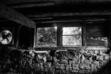 Windows Inside a Barn Looking out