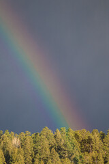 Rainbow in summer in the mountains 