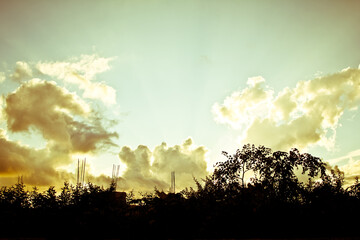Sunset Over Trees
