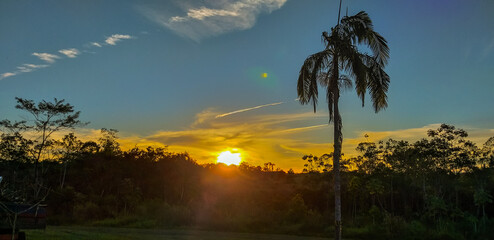 sunset in the forest