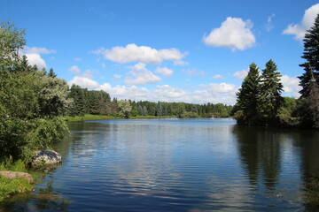 Fototapeta na wymiar Beauty On The Lake, William Hawrelak Park, Edmonton, Alberta