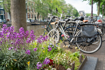 Fototapeta na wymiar Bikes in Amsterdam