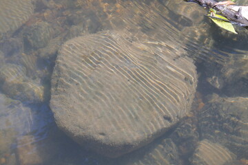 Light ripple patterns from sunlight through waves on underwater round rock