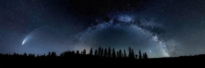 Nachthimmel mit der Milchstraße und dem Kometen Neowise, der wie der Weihnachtsstern aussieht, und einer Silhouette von Kiefern am Horizont. © Craig Taylor Photo