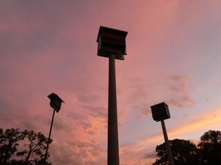 Bat houses silhouetted against pastel twilight sky 