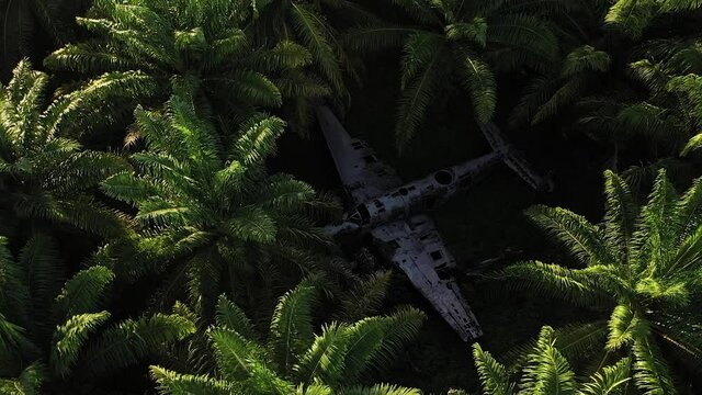 A crashed plane with an old look and style from a time long ago. Abandoned and left to be overgrown by nature. A unique, unusual and scary tourist spot to visit on a guided hike in Papua New Guinea.