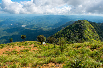 Naklejka premium Top view from highest peak of Doi Luang Phayao national park one of the largest national parks in Northern Thailand. Doi Luang is the park's highest peak at 1,694 meters.