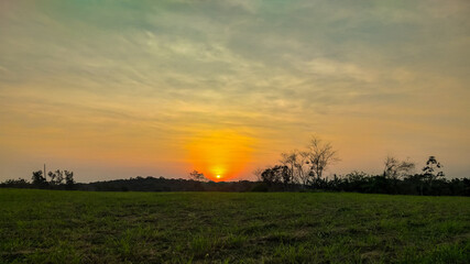 sunset in the field