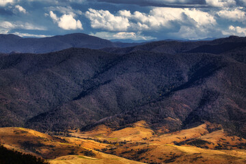 Obraz premium Rolling Hills