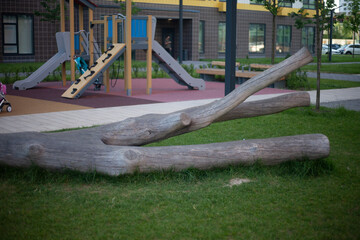 Dry tree in the playground. 