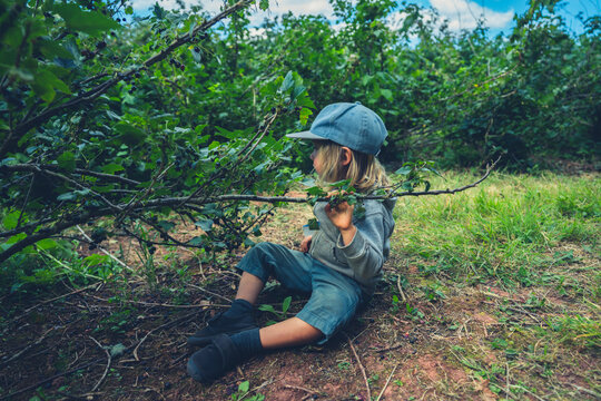 Little preschooler sitting on the ground by fruit bush