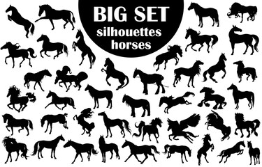 Silhouettes of horses. Set 