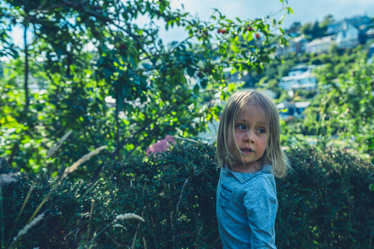 Little preschooler standing by a hedge