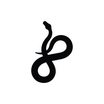 Snake silhouette vector on white background