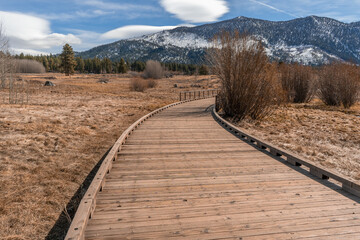 Fototapeta premium wooden foot bridge in a meadow