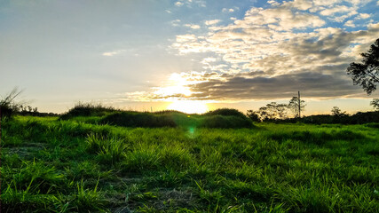sunset over the field