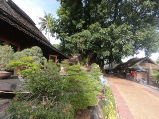Obraz premium Auspicious garden beside the house.