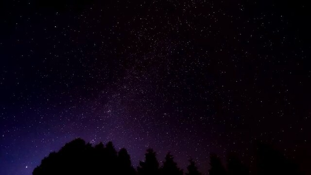 Night Sky Time Lapse. Moving Stars on Dark Sky Over Tree Tops.