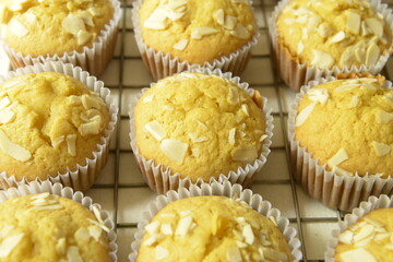 Fresh Homemade Pumpkin Cake on cooling rack